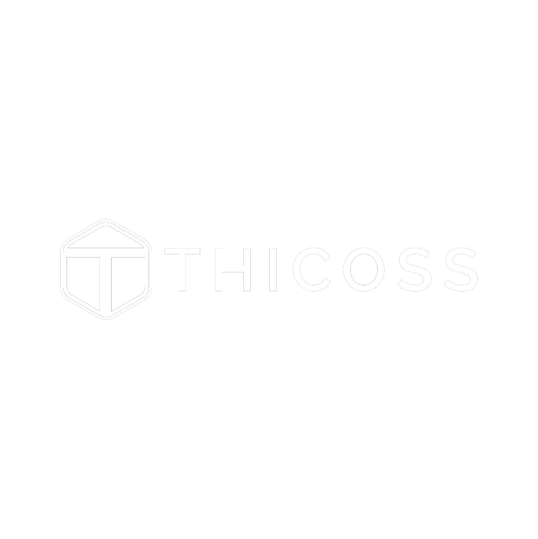 thicoss logo 03 inverso